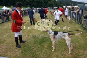 1771329721_1771329721_dunster-country-fair-017