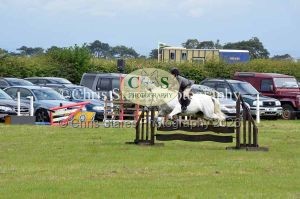 1771329732_1771329732_dunster-country-fair-025