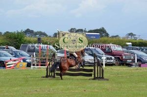 1771329735_1771329735_dunster-country-fair-027