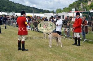 1771329738_1771329738_dunster-country-fair-029