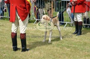 1771329740_1771329740_dunster-country-fair-031
