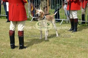 1771329742_1771329742_dunster-country-fair-032