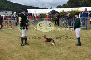 1771329743_1771329743_dunster-country-fair-033