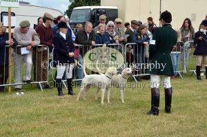 1771329746_1771329746_dunster-country-fair-035