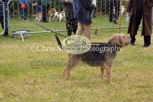 1771329750_1771329750_dunster-country-fair-038