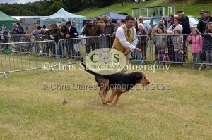 1771329753_1771329753_dunster-country-fair-040