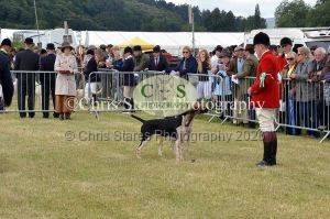 1771329758_1771329758_dunster-country-fair-044