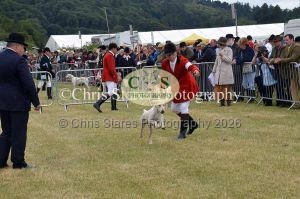 1771329760_1771329760_dunster-country-fair-045