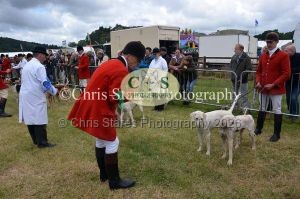 1771329763_1771329763_dunster-country-fair-047