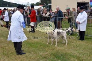 1771329765_1771329765_dunster-country-fair-049