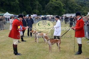 1771329766_1771329766_dunster-country-fair-050