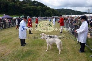 1771329768_1771329768_dunster-country-fair-051
