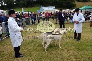 1771329769_1771329769_dunster-country-fair-052