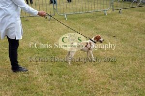 1771329771_1771329771_dunster-country-fair-054