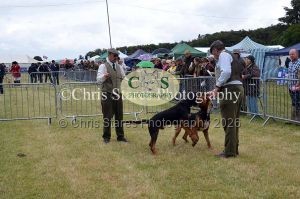 1771329779_1771329779_dunster-country-fair-060