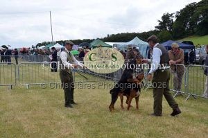 1771329780_1771329780_dunster-country-fair-061