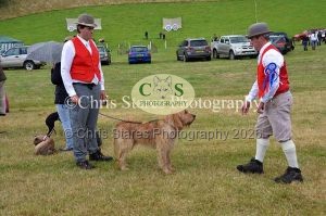 1771329783_1771329783_dunster-country-fair-063