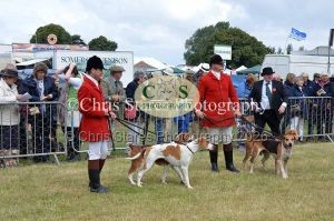 1771329797_1771329797_dunster-country-fair-074
