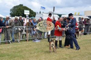 1771329804_1771329804_dunster-country-fair-079