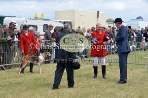 1771329805_1771329805_dunster-country-fair-080