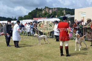 1771329814_1771329814_dunster-country-fair-086