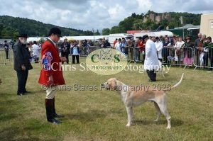 1771329818_1771329818_dunster-country-fair-089