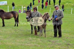 1771329844_1771329844_dunster-country-fair-106