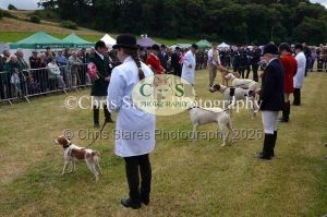 1771329853_1771329853_dunster-country-fair-113