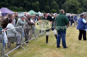 1771329856_1771329856_dunster-country-fair-115