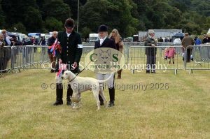 1771329860_1771329860_dunster-country-fair-118