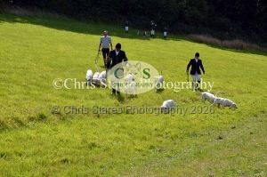 1771329865_1771329865_dunster-country-fair-122