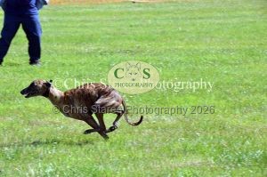 1771329881_1771329881_dunster-country-fair-134