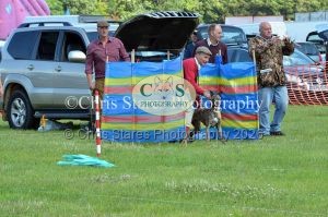 1771329883_1771329883_dunster-country-fair-136