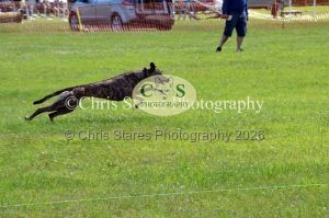 1771329885_1771329885_dunster-country-fair-137