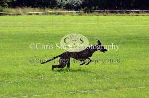 1771329886_1771329886_dunster-country-fair-138