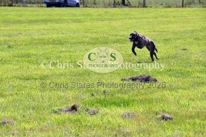 1771329887_1771329887_dunster-country-fair-139