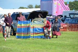 1771329891_1771329891_dunster-country-fair-142