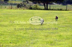 1771329896_1771329896_dunster-country-fair-146