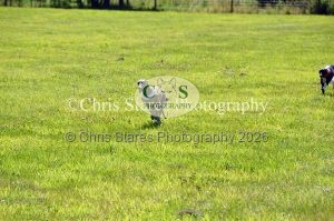 1771329897_1771329897_dunster-country-fair-147