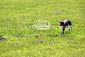 1771329899_1771329899_dunster-country-fair-148