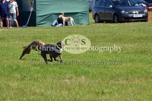 1771329906_1771329906_dunster-country-fair-154