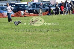 1771329914_1771329914_dunster-country-fair-160