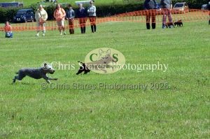 1771329916_1771329916_dunster-country-fair-161