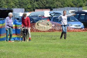 1771329922_1771329922_dunster-country-fair-166