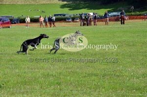 1771329926_1771329926_dunster-country-fair-169