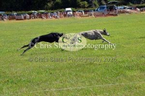 1771329929_1771329929_dunster-country-fair-171