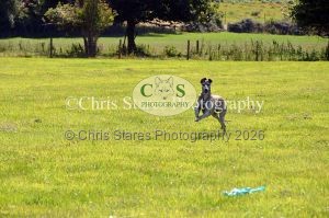 1771329930_1771329930_dunster-country-fair-172