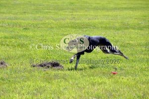 1771329931_1771329931_dunster-country-fair-173