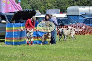 1771329935_1771329935_dunster-country-fair-176