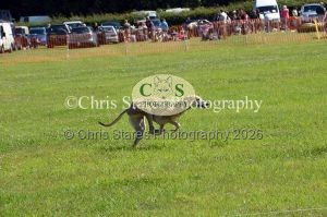 1771329937_1771329937_dunster-country-fair-177